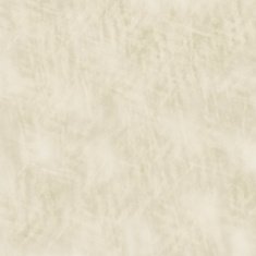 Grunge abstract background N605