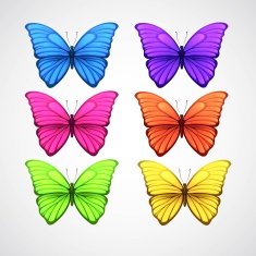 Collection of color butterfly vector icons Vector illustration