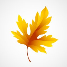 Fall leaf isolated in white Vector illustration