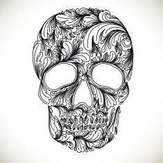 Vector illustration with Hand Drawn Skull N8