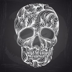 Vector illustration with Hand Drawn Skull N9