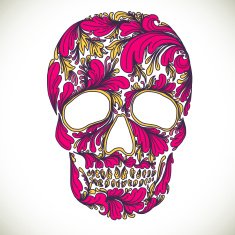 Vector illustration with Hand Drawn Skull N10