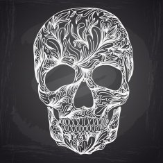 Vector illustration with Hand Drawn Skull N13