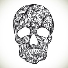 Vector illustration with Hand Drawn Skull N17