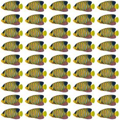 Regal Angelfish Pattern N2