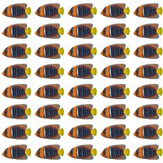 Passer Angelfish pattern N2