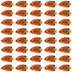 Flame Angelfish pattern N2