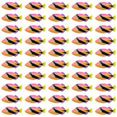 Wedge tail Triggerfish pattern N2