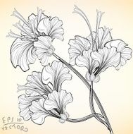 Floral Elements for design N6