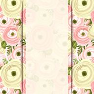 Vector card with pink and white ranunculus flowers