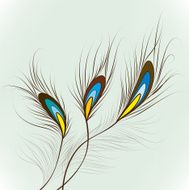 Peacock Feathers Seamless Pattern N4