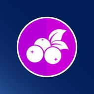 blueberry farm juicy illustration logo symbol vector N8