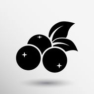 blueberry farm juicy illustration logo symbol vector N9
