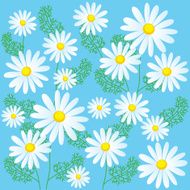 Chamomile flowers on a blue background