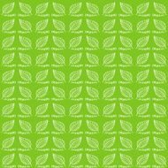 Vector seamless pattern on a green background organic