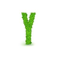 Green Leaves font Y