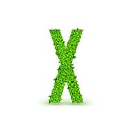 Green Leaves font X