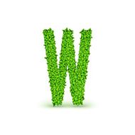 Green Leaves font W