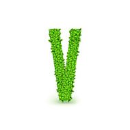 Green Leaves font V
