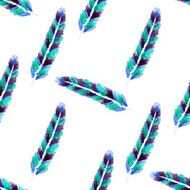 Watercolor feathers N5