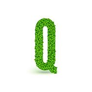 Green Leaves font Q