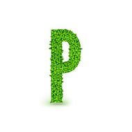 Green Leaves font P