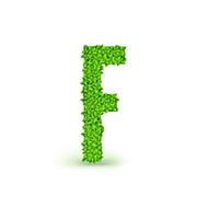 Green Leaves font F