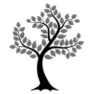 tree silhouette N13