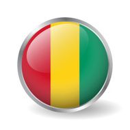 Guinea flag button vector N2