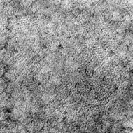 Grunge abstract background N760
