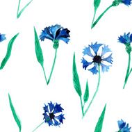 Seamless pattern with cornflowers N2
