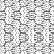 Seamless Geometric Lines Black and White Hexagon Vector Pattern