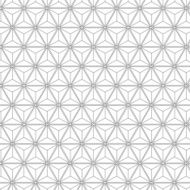 Seamless Geometric Lines Black and White Hexagon Vector Pattern N3