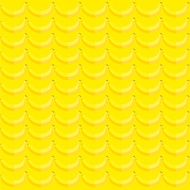 Collection Seamless pattern of fruits N8
