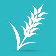 Ears of Wheat Barley or Rye vector visual graphic icons N2