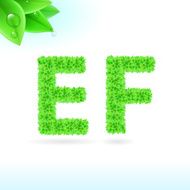 Sans serif font with green leaf decoration N9