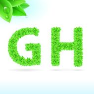 Sans serif font with green leaf decoration N10