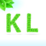 Sans serif font with green leaf decoration N11