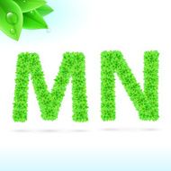 Sans serif font with green leaf decoration N12