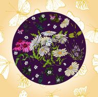 Background for a card with flowers and butterflies