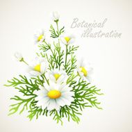 Botanical vector illustration Vintage floral card N3