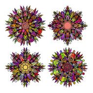 Mandala Ethnic decorative elements Vector illustration N2