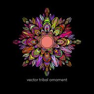 Mandala Ethnic decorative elements Vector illustration N6