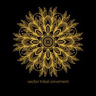 Mandala Ethnic decorative elements Vector illustration N8