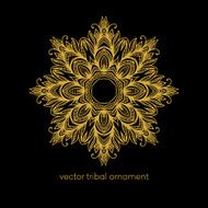 Mandala Ethnic decorative elements Vector illustration N9