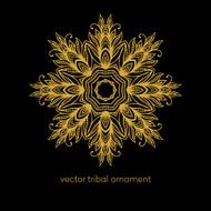 Mandala Ethnic decorative elements Vector illustration N10