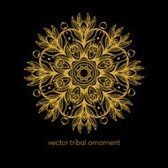 Mandala Ethnic decorative elements Vector illustration N11