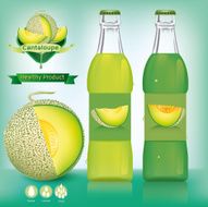 bottle cantaloupe melon vector illustration