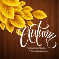Autumn background with leaf and wood texture Vector illustration N3