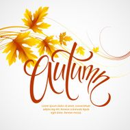 Autumn leaves background Vector illustration N2